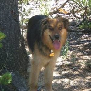 Meet your Posher, Annie